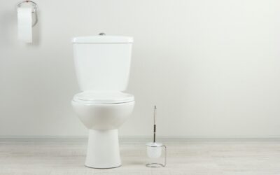 Common Toilet Problems That Require a Professional Plumber